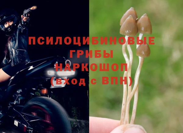 первитин Абинск