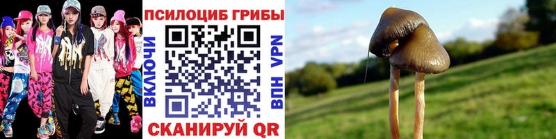 Галлюциногенные грибы GOLDEN TEACHER MEGA ТОР Чекалин